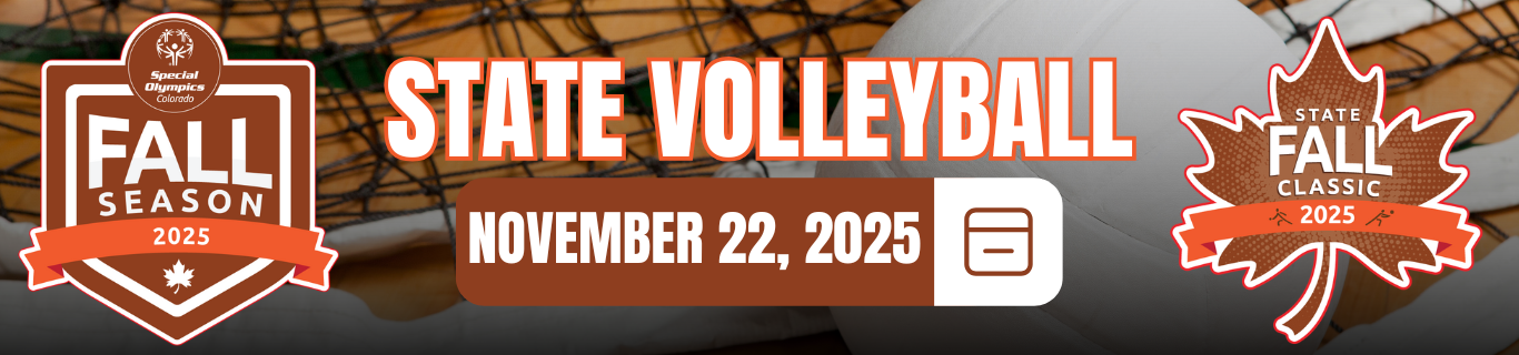 State Volleyball Header