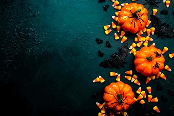 Photo of pumpkins, candy corns and bats